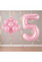 Rönesans 5 Year Old Pink Themed Birthday Party Set