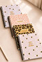 A5 Spiral School Notebook |   70 Sheets |   Checkered |   4-Piece Notebook Set - 2