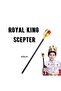 Children's Boy Gold Color King Crown and Red Ball-Headed King Scepter (K0) - 2