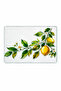 Cam Supla |   Ribbed Glass Supla |   Lemonia |   25cm X 35cm - 6