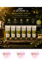 Dalan D'Olive Organic Olive Oil Nourishing Cream, 95% Naturally Sourced Ingredients 20 ml Set of 6 - 4