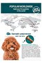 More Digest Plus Prebiotic Dental Chew Treats for Dogs, Digestive Support, 3 Inch, 7 Pieces, 105g - 3