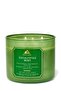 Eucalyptus Mint 3-Wick Candle - 2