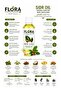 Sidr Oil for Body, Hair & Skin - 2