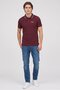 Men Regular Fit Brand Logo Short Sleeve Polo Shirt, Burgundy - 4
