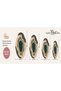 Sdt Agate Patterned Modern Woven Base Decorative Carpet Sdtamour4134 - 5