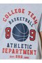 Teen Boys Grey Graphic Print Regular Fit T-Shirt - 4