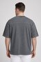 Men Crew Neck Short Sleeve Graphic Print T-Shirt, Washed Grey - 4