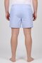 Men Embroidered Logo Board Shorts, Baby Blue - 4