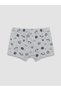 Lcw Kids Gray Boy's Boxers 3 Pcs - 4