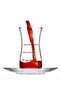 Paşanahçe Hoş Sohbet 8 Piece Tea Set 96746 Fit Tea Cups 4 Pcs 120 Cc Fit Tea Tab 4 Pcs 12 cm - 5