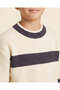 Senior Boys Beige And Brown Crew Neck Printed Sweater - 3