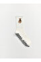 Rmz Gi̇yi̇m Farkiyla Teddy Bear Printed Women's Socks