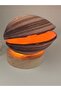 Real Shell Lamp / Pacman Form Maxima Shell - 3
