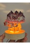 Real Shell Lamp / Tulip Coral Pertin Barnacal Lamp - 7