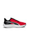 Pounce Lite - 5