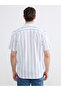 Nevavm Regular Fit Striped Dobby Men's Shirt with Difference - 4