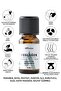 Basil Essential Oil / Basil Oil / Aromatherapy / Fragrance / Essential Oil / Essential Oils / 10 ml