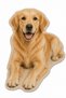 Golden Retriever Figured Asymmetrical Food Mat with Non-Slip Base, Washable 50X80 cm - 2
