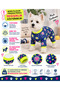 Small Breed Neon Points Dog Jumpsuit Dog Outfit (1-10kg)