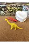 Double Heart Shaped Dinosaur Excavation Toy Activity Activity Project Set - 3