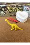 💙 💚   2-Pack Dinosaur Excavation Kit – Heart-Shaped Archaeological Excavation Game |   Educational Activity Set - 4