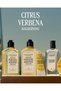 Citrus Verbena Perfumed Shower Gel, with Verbena Flower and Citrus Extract, 250 ml - 5