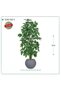 Artificial Jasmine Tree Plastic Pot { Height 125 cm } - 2