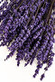 Shockproof Non-Shedding Durable Lavender Bunch - Arrangement |   Ornament |   Decor - 3