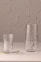 Dragonfly Set of 4 Soft Drink Glasses 520 Cc - 3