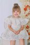 Baby Girl Dress Girls' Dress Birthday Party Wedding Dress Lace Short Sleeve Lined Dress - 6