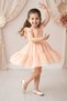 Baby Girl Dress Girls Kids Dress Birthday Party Wedding Dress Short Sleeve Lined Leopard Dress