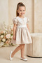 Baby Girl Dress Girls' Dress Birthday Party Wedding Dress Lace Short Sleeve Lined Dress - 5