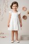 Baby Girl Dress Girls Kids Dress Birthday Party Wedding Dress Short Sleeve Lined Leopard Dress - 2