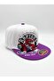 Toronto Raptors Hip-Hop Hat (Special Edition) Small Size -56.5 - 2