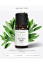 Sage Oil 10 ml 100% Natural Pure