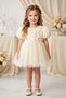Baby Girl Girl Child Birthday Party Wedding Dress Balloon Rose Bow Tulle Tutu Lined - 8