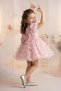 Baby Girl Girl Child Birthday Party Wedding Dress Balloon Butterfly Bow Tulle Tutu Lined