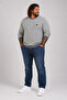 Large Size Men's Crew Neck Sweatshirt 22715 Anthracite