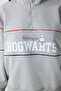 Gray Melange Half Zipper Harry Potter Printed Sweatshirt - 5