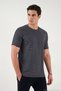 Cotton Regular Fit Striped Crew Neck t Shirt Men's t Shirt 5904030 - 3