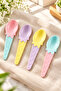 Carnival 9 Piece Ice Cream Set - Ice Cream Bowl Spoon Set - 6