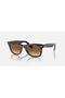 Rb2140 Wayfarer Sunglasses 50mm