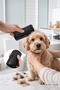 Deshedding Hair Collector Comb with Non-Slip Handle for Cats and Dogs, Removes Dead Hair, Undercoat Comb 14.6 cm - 4