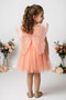 Baby Girl Girl Birthday Party Wedding Summer Dress Tulle Tutu Lined Baby Suit Baby Clothing - 4