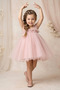 Baby Girl Girl Birthday Party Wedding Summer Dress Tulle Tutu Lined Baby Suit Baby Clothing - 2