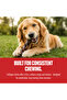 Braided Collagen Stick Dog Chew Treat (6 Inch, 3 Pcs) - 4