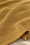 100% Cotton Softy Single Pike Blanket |   160X230 cm - 3