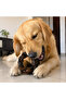 Natural Collagen Braided Ring Dog Chew Treat (2 Pcs) - 4