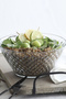 Artemis Glass Salad Bowl Single Extra Large 2150 ml (Presentation Bowl, Preparation Bowl) - 5